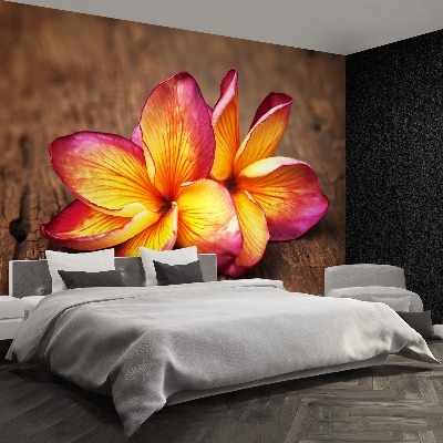 Carta da parati Plumeria Wood