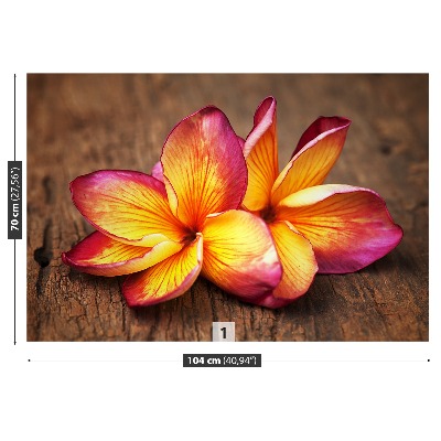 Carta da parati Plumeria Wood