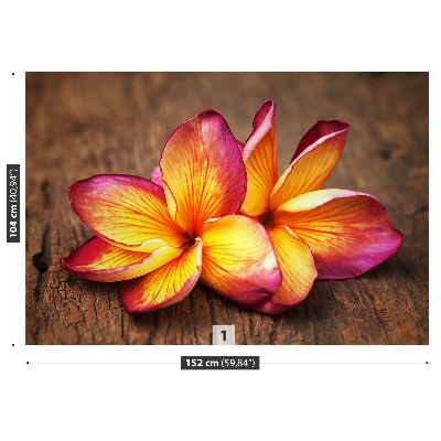 Carta da parati Plumeria Wood