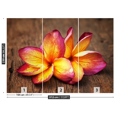 Carta da parati Plumeria Wood