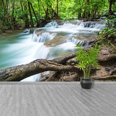 Carta da parati Cascata nella foresta