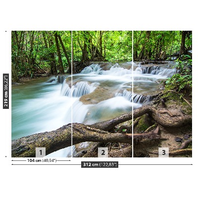 Carta da parati Cascata nella foresta