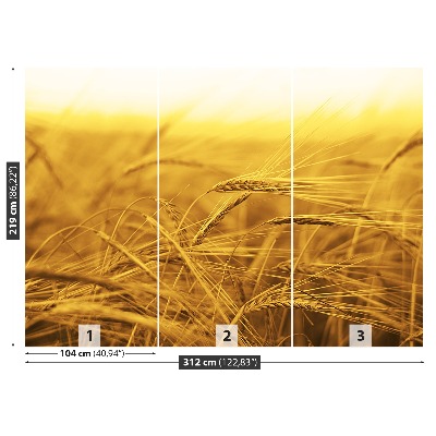 Carta da parati Campo di grano