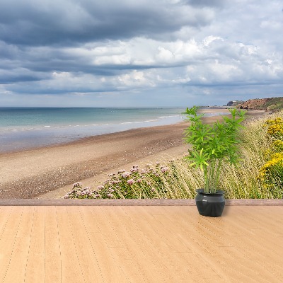 Carta da parati Beach Wybrzeże