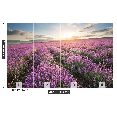 Carta da parati Lavender Meadow