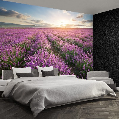 Carta da parati Lavender Meadow