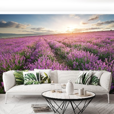 Carta da parati Lavender Meadow