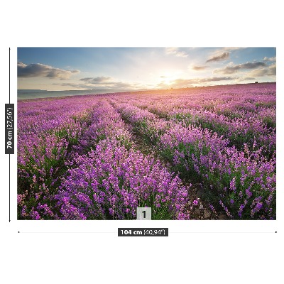 Carta da parati Lavender Meadow