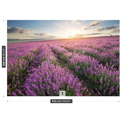 Carta da parati Lavender Meadow