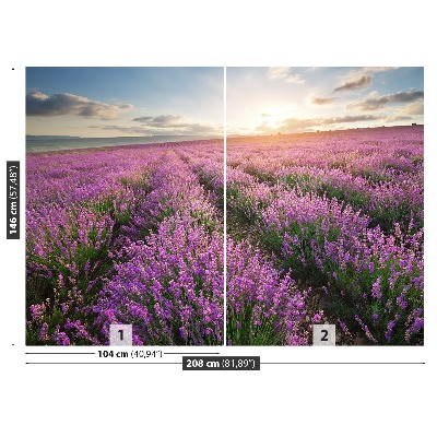 Carta da parati Lavender Meadow