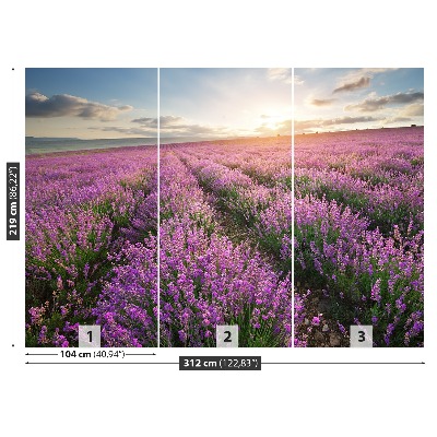 Carta da parati Lavender Meadow