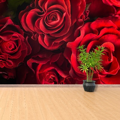 Carta da parati Rose rosse