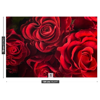 Carta da parati Rose rosse