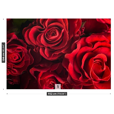 Carta da parati Rose rosse