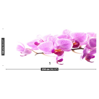 Carta da parati Orchidea rosa