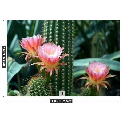 Carta da parati Cactus di fiori