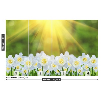 Carta da parati Narcissus White