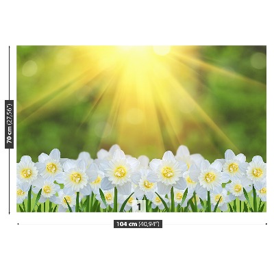 Carta da parati Narcissus White