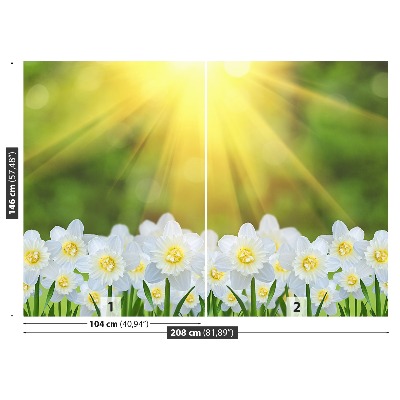 Carta da parati Narcissus White