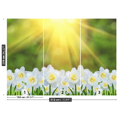 Carta da parati Narcissus White