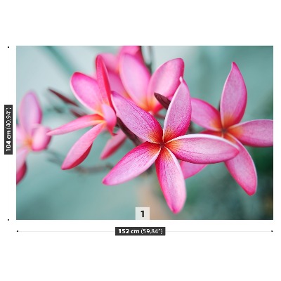 Carta da parati Plumeria rosa