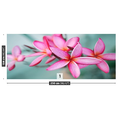 Carta da parati Plumeria rosa