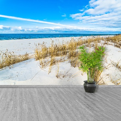 Carta da parati Mare di dune