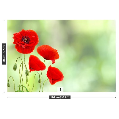 Carta da parati Poppies rossi