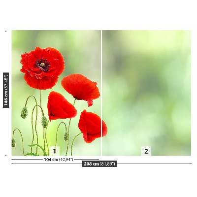 Carta da parati Poppies rossi