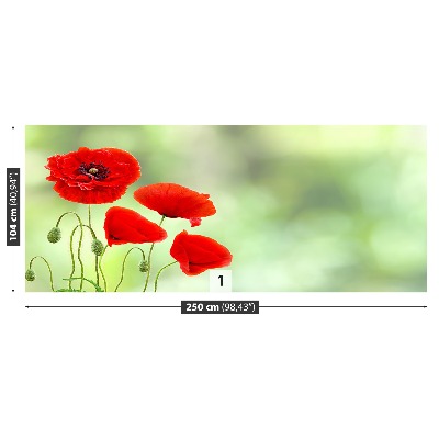 Carta da parati Poppies rossi