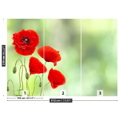 Carta da parati Poppies rossi