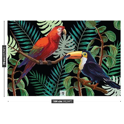 Carta da parati Ara toucan