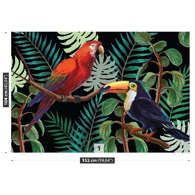 Carta da parati Ara toucan