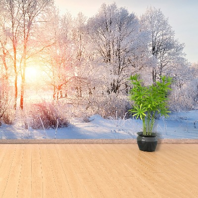 Carta da parati Alberi invernali