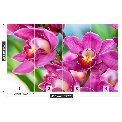 Carta da parati Orchidee rosa