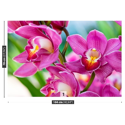 Carta da parati Orchidee rosa