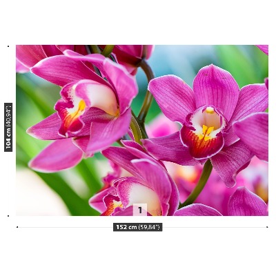 Carta da parati Orchidee rosa