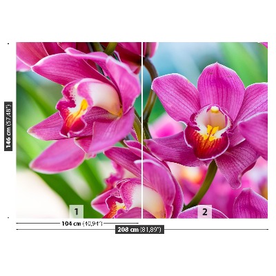 Carta da parati Orchidee rosa