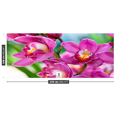 Carta da parati Orchidee rosa