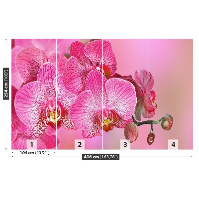 Carta da parati Orchidea rosa