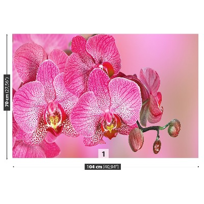 Carta da parati Orchidea rosa