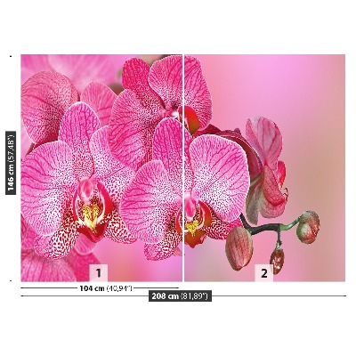 Carta da parati Orchidea rosa