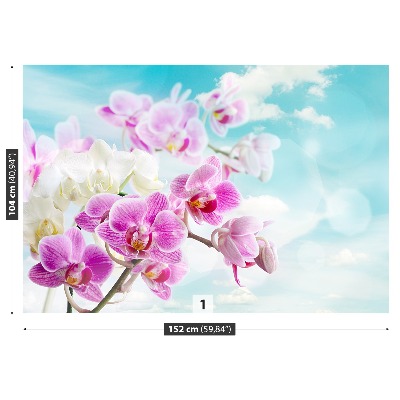 Carta da parati Orchidee blu