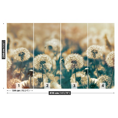 Carta da parati Dandelion Meadow