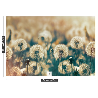 Carta da parati Dandelion Meadow