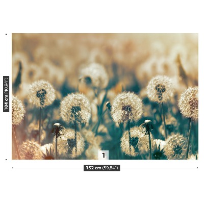 Carta da parati Dandelion Meadow