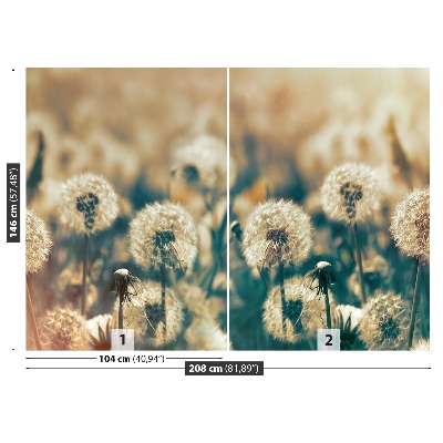 Carta da parati Dandelion Meadow