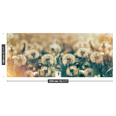 Carta da parati Dandelion Meadow