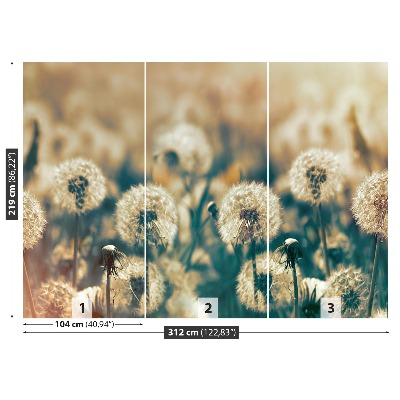 Carta da parati Dandelion Meadow