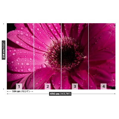 Carta da parati Purple Gerbera